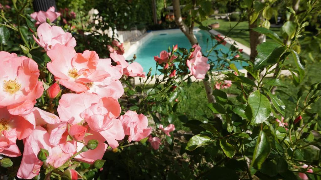 Mary'S Dream Bed & Breakfast Manoppello Екстериор снимка